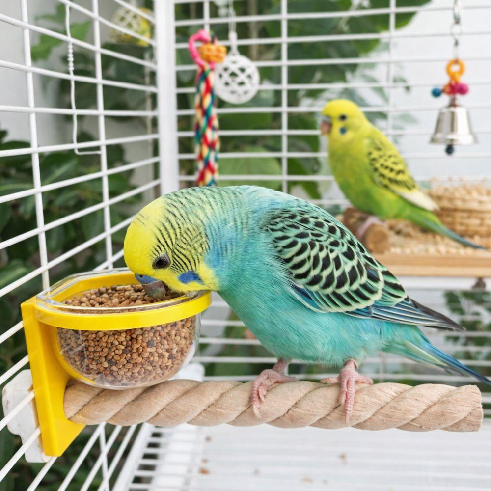 Claw Grinding Rod Wear-resistant Bird Cage Feeder Paw Grinding Interactive Parrot Wood Perch Non-slip Bird Feeding Cup Exercise