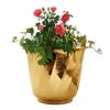 Pure Brass Lining Design Planter, Home Décor, Planting, Size- 8.4x10 Inches