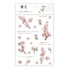 Stickers Flowers Leaves Plants PVC Stickers Lable Transparent PET Stickers For Scrapbooking Diary Journal Decorative DIY Materia