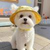 Cotton Cat Sun Hat S/M/L Dog Fisherman Hat Cute Cat Bucket Hat  for Small Medium Cat