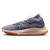 Nové dámské boty React Pegasus Trail 4 Gore Tex Daybreak Glacier Blue Sundial White DJ7929-502