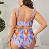2024 Plus Size Sexy Backless Two-Piece Swimsuit for Women