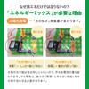 Electronic Circuit Clean Energy [Authorized Domestic Distributor] Electrical Circuit Experiment, Electronics, Japanese Guide Included, Wind Power, Hyd