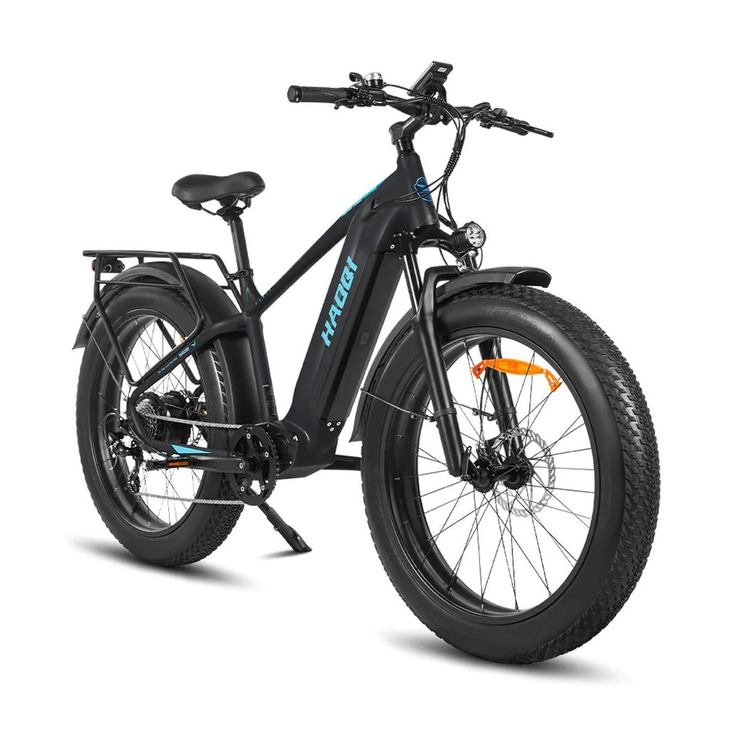 HAOQI Eagle 2.0 Step Over All-Terrain Adult Electric Bike 48V20Ah Battery 250W Motor Electric Bicycle  26 Inch Off-Road Tires E-Mountian Bike