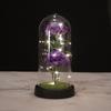 Carnation Ornament Mother's Day Valentine's Day Birthday Creative Soap Flower Ornament Night Light