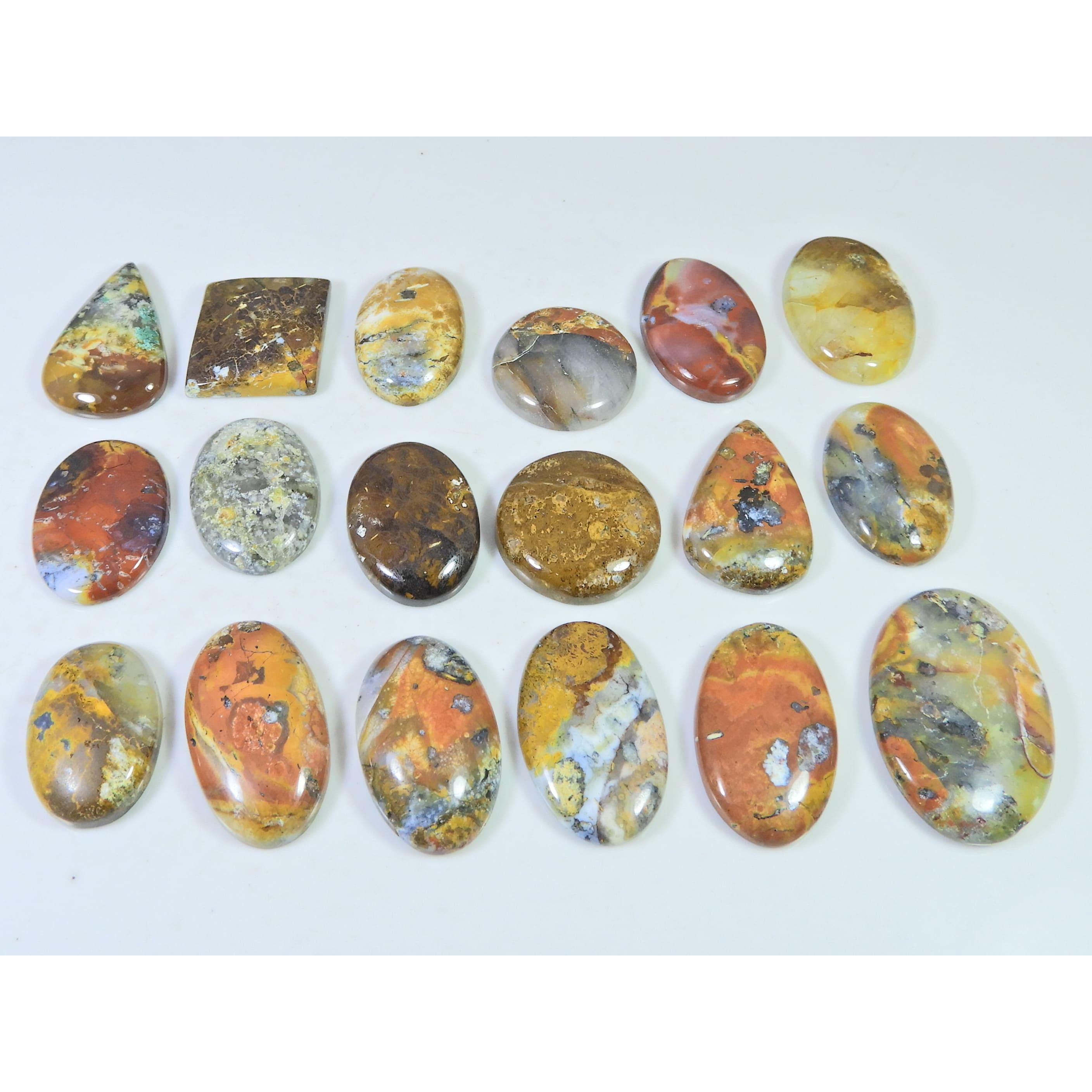 381Cts. Natural Forest Agate Mix Cabochon Loose Gemstone 18 Pcs Lot C-1961