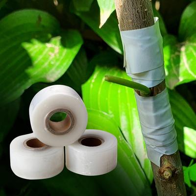 2 PCS Grafting Tape Stretchable Garden Grafting Tape Clear Floristry Film Grafting Tape Film for Fruit Floral Tree and Plants