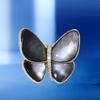 Naturmuschel Zirkon Leichter Luxus Kleidung Korsage Elegant Anti-Licht Nadel High-End Mutterperle Schmetterlingsbrosche