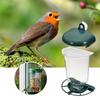 Transparent Bird Feeder Automatic Plastic Bird Feeder with Suction Cups