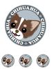 Staring Chihuahua Long Chocolate & Tan [Blaze] Dog Sticker Gray