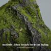 Faux Moss Rock Lifelike Artificial Irregular for Photographers