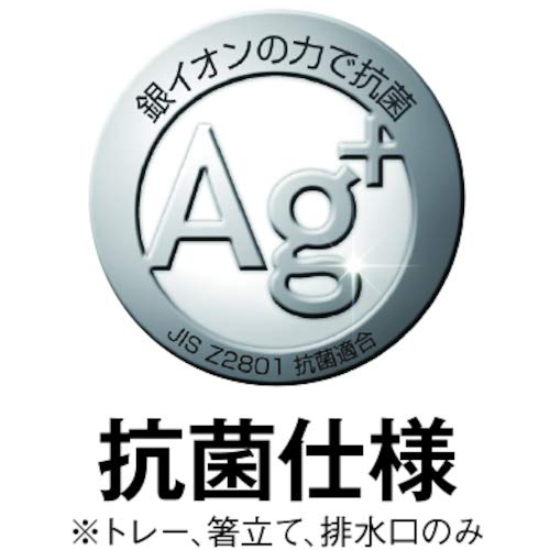 Asvel N-Pos? Slim Dish Drainer, Double-Coated, for Vertical and Horizontal Use, Silver, 5531