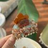 Korean Style Acetic Acid Flower Hair Claw Small Geometry Hair Crab Clip French Shark Clip  Women