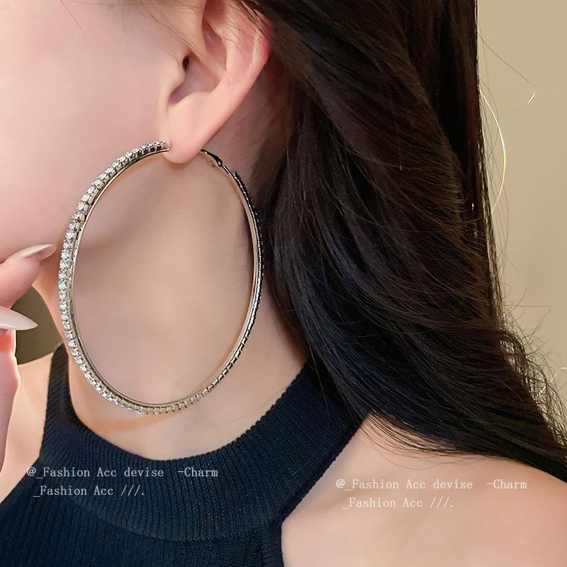 Silver Needle Diamond Round Earrings Exaggerated High-end Design Ins Earrings Niche Light Luxury Temperament New Earrings Women
