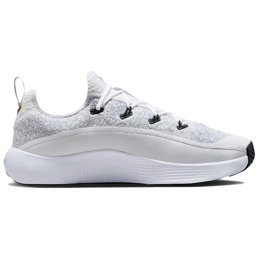 Nike LeBron TR 1 Wolf Grey/White/Bronze/Metallic Gold Men Sneakers FJ6151-006