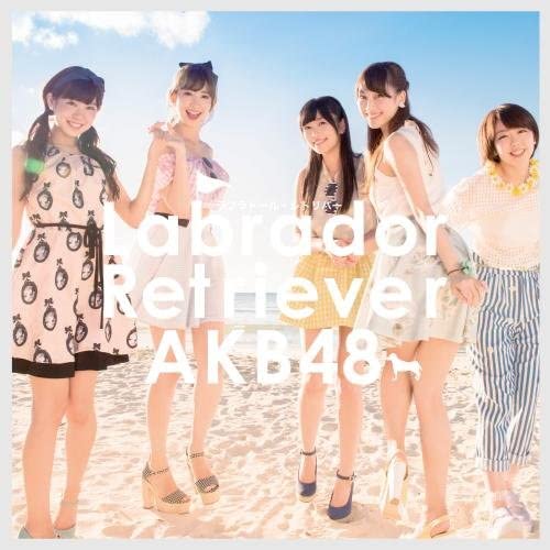 

CD - Labrador Retriever Type-b Japan ObiJapanese Pop Star Used