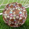 Labubu Theme Size 5 Soccer Ball, Suitable for Both Indoor and Outdoor Matches, a Gift Suitable for Everyone.