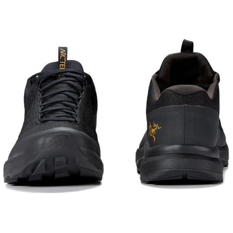 Arc'teryx Arcteryx Aerios Fl 2 GTX Unisex L07883300