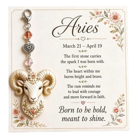 Zodiac Sign Keychain 12 with Keepsake Card, Star Pendant, Backpack Handbag Purse Charm, Inspirational Gift for Men Women Charm