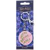 Harry Potter Happee Birthdae Harry Cake Keyring