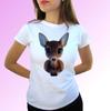 Parte superior (Meninas a partir de 4 anos) – T-Shirts