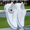 Spring and Autumn White High-end Canvas Shoes Casual Shoes Low-top Cloth Shoes Student Sneakers Youth