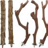5PCS Bird Training Branches with Fixing Screw Easy to Install Anti-Slip Design Branch for Small Parrot Birds