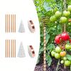 Înverzire şi amenajare – Susținere plante