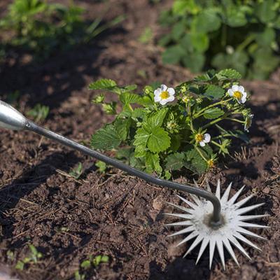 Iron Hand Weeding Removal Puller, Loose Soil Portable Plant Remover Tool, Manual Weeder,