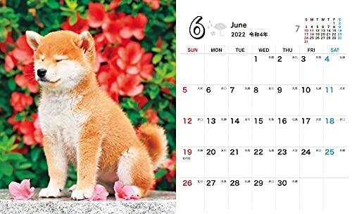 Shiba Inu Weather Mini (Impress Calendar 2022)