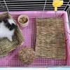 Woven for Small Animal Bunny Grass Mat Pet Cage Pad Rabbit Grass Chew Mat Hamster Sleeping Bed