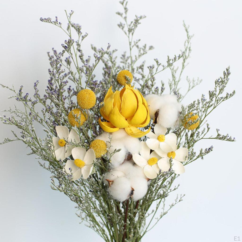 Eucalyptus Daisy Dried Plants Flower Ornaments Handmade for Heimwerken Vase Wedding Party