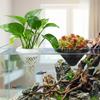 Growing Pots Floating Aquarium Planting Basket 3D Printed Coexistence Floating Pot  Fish Bowls