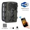 4G/4K 120MP WiFi Live Video 5000mAh APP Viltkamera Nattmodus Jakt Foto Kamera IP66 Dyrekamera med 5000MAH Litium Ba