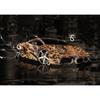 Dreamy Sports Car Animal Poster: Creative Wall Art for Bedroom, Bar, or Study
