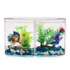 Double Compartment Fighting Fish Box Eco Rumble Fish Aquarium  Aquarium Plastic Isolation Box Breeding Box