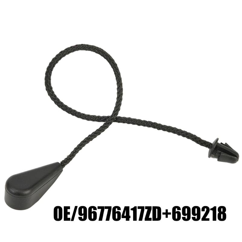 Corda Portapacchi Posteriore 96776417ZD 699218 per 308/3008/2008/308S 2013-2021 Cinturino di Fissaggio Accessorio Automobilistico Facile da Installare