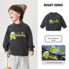 Right European Boys' Crew Neck Pullover Knitwear for Autumn/Winter 2025 - New Toddler and Children's Clothing Tops