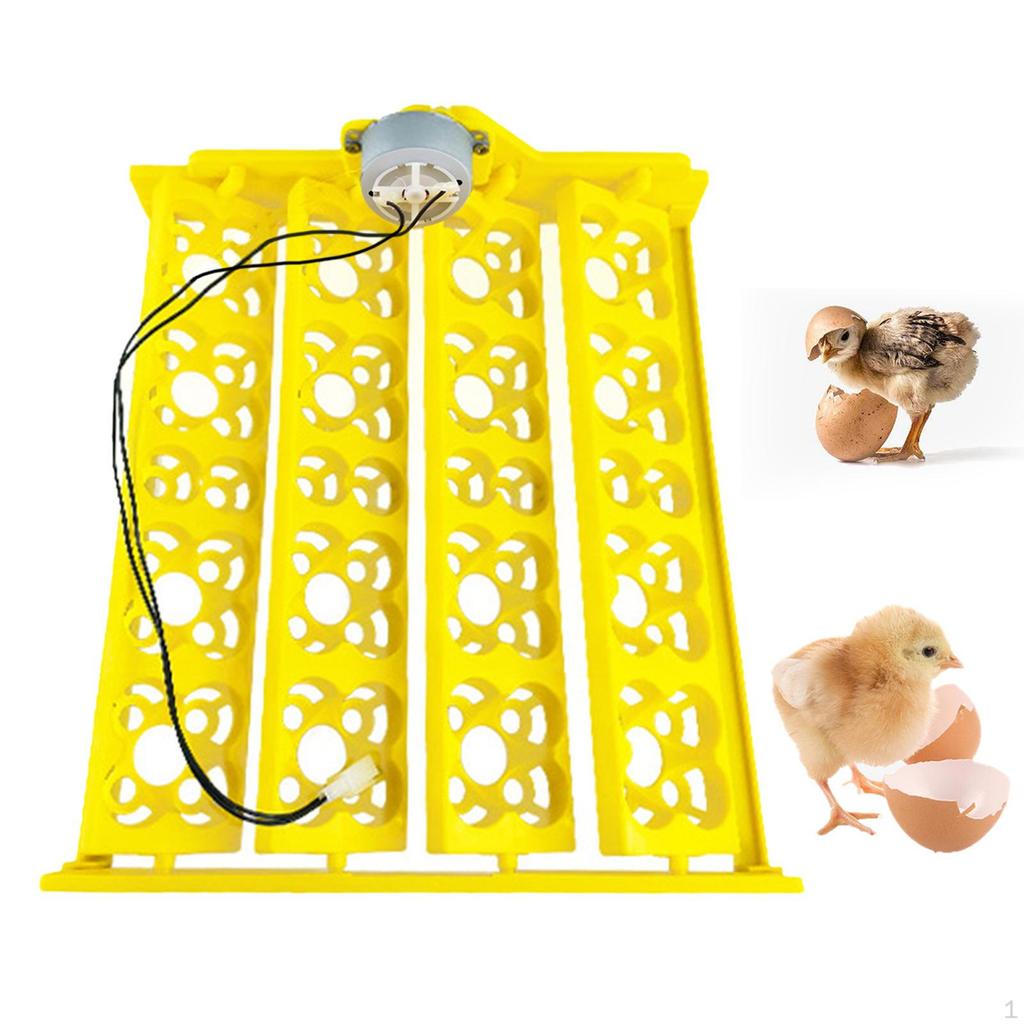 Automatic Egg Tray Turning Motor Turner 16 Eggs Supplies