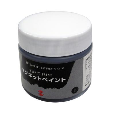 Turner Color Magnetic Paint 170ml