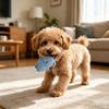Haustierspielzeug mit integriertem Sounddesign Weiches Plüsch-Beißspielzeug Zahnfleischmassage und Zahnsteinreinigung Kauspielzeug für kleine Hunde