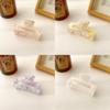 Trendy Large Acrylic Hair Clips For Girls In Fresh Pink Yellow Purple And Black