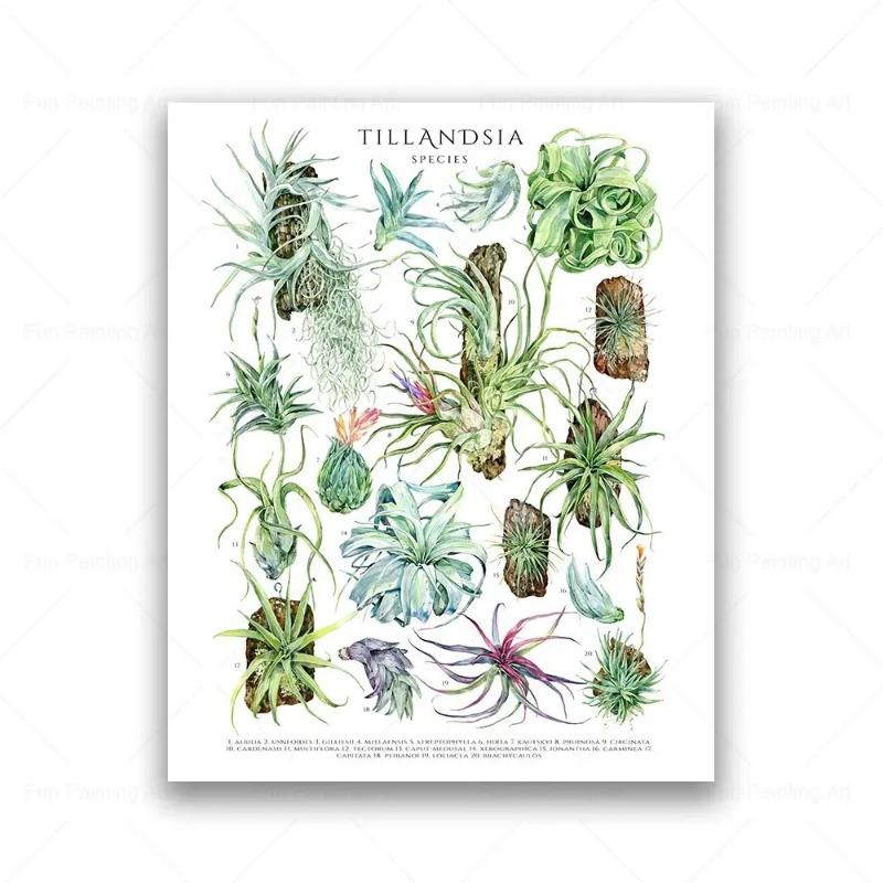 Botanical House Plant Canvas Painting Educational Poster Leaves Print Wall Art Picture Kids Room Decor Plant Lovers Gift