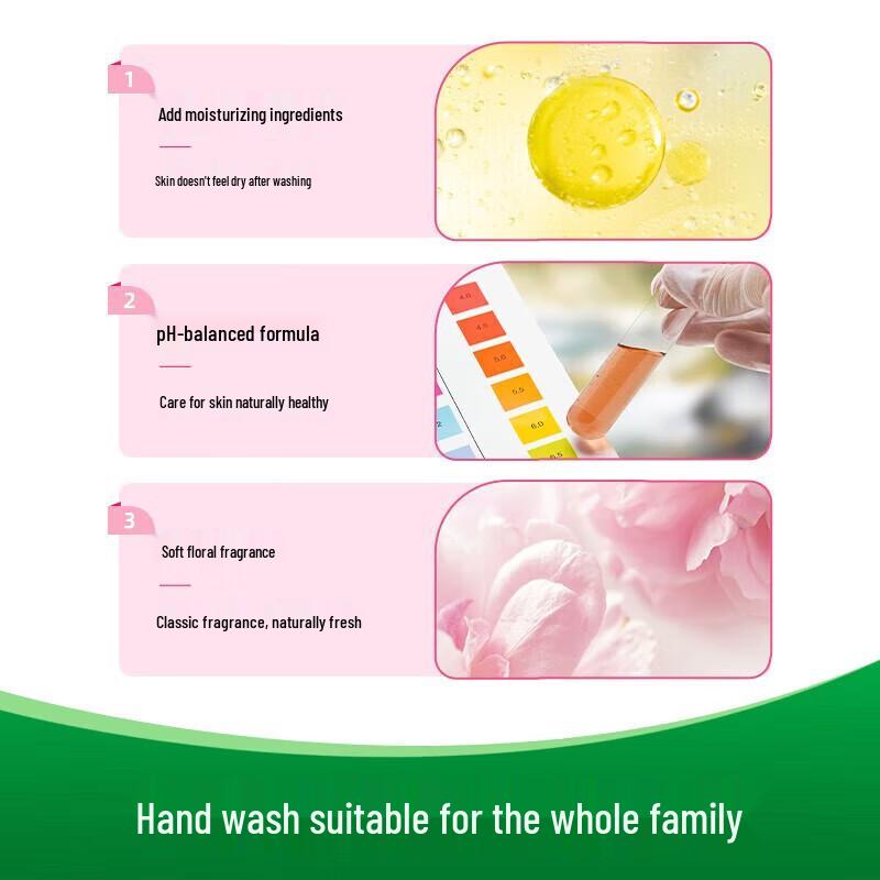 Dettol Moisturizing Hand Wash Twin Pack