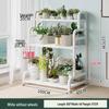 Oushoumai Stainless Steel Multi-tier Plant Stand