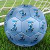 Ronaldo's Iconic Strike Size 5 Soccer Football Machine Sewn Indoor/Outdoor Universal Football Perfect Commemorative Gift for Soccer Lovers