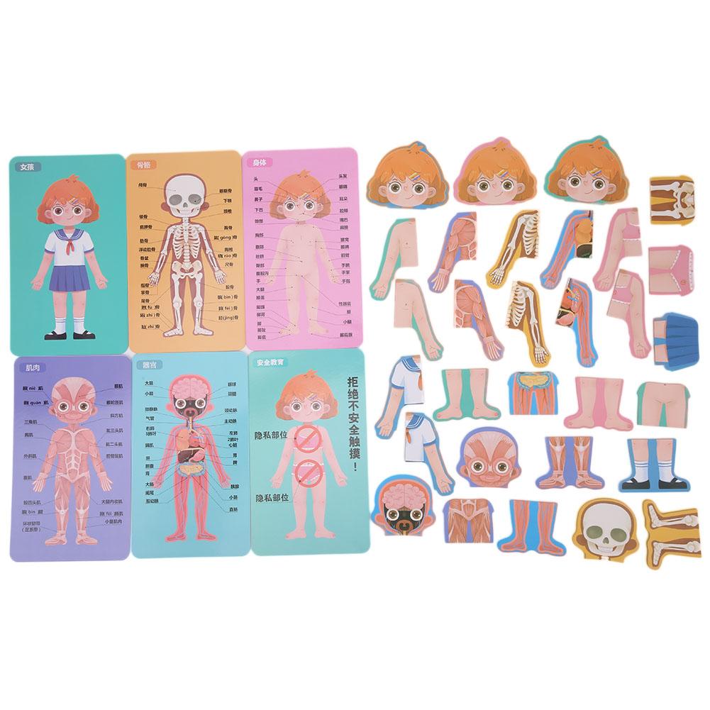 Children Wooden Human Body Organ Structure Cognition Puzzle Jigsaw Toy Educational ToysGirl Body