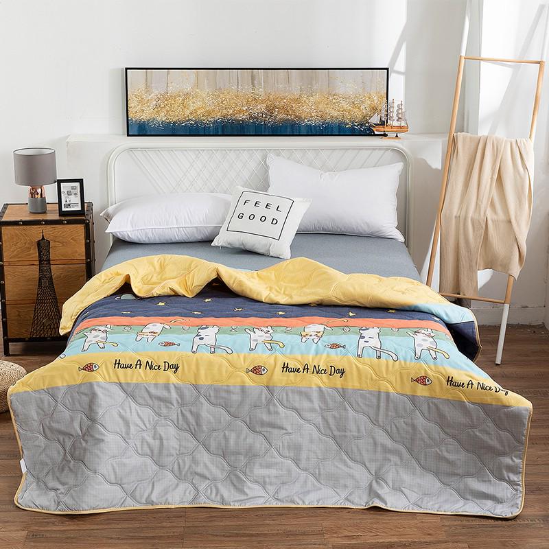 Summer Thin Ultrasonic Aloe Cotton Quilt for Dormitory Students
