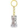 Transparent Pet Memorial Keychain Pet Hair Bottle For Preserving Dog Hair And Ashes In A Leakproof Keepsake Capsule