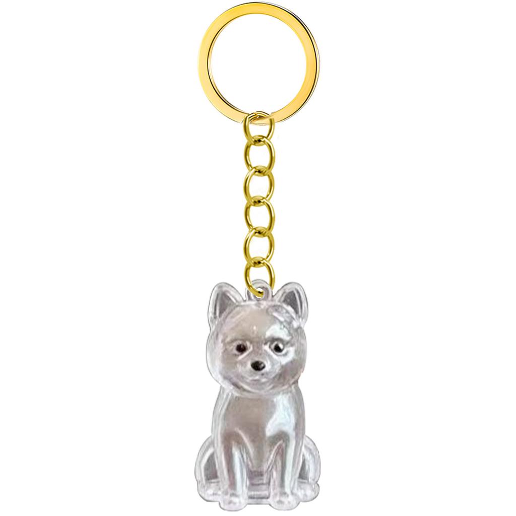 Transparent Pet Memorial Keychain Pet Hair Bottle For Preserving Dog Hair And Ashes In A Leakproof Keepsake Capsule